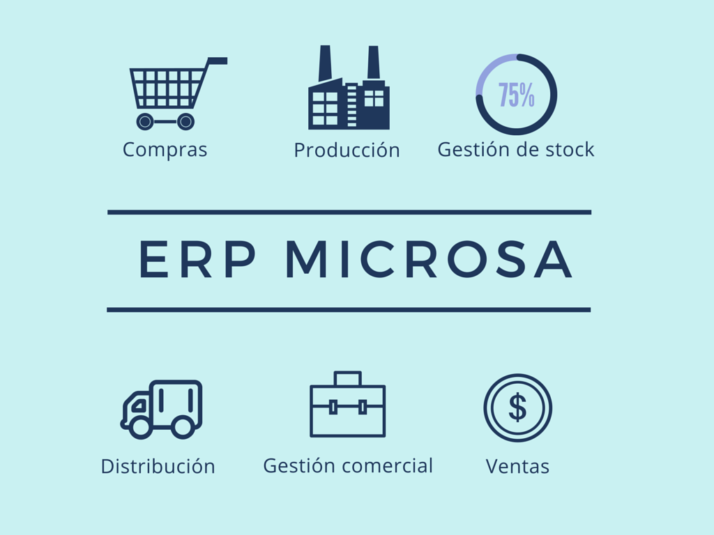 ERP microsa